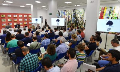murcia arboles