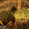 Detenido por cultivar marihuana en una casa alquilada de Roquetas de mar