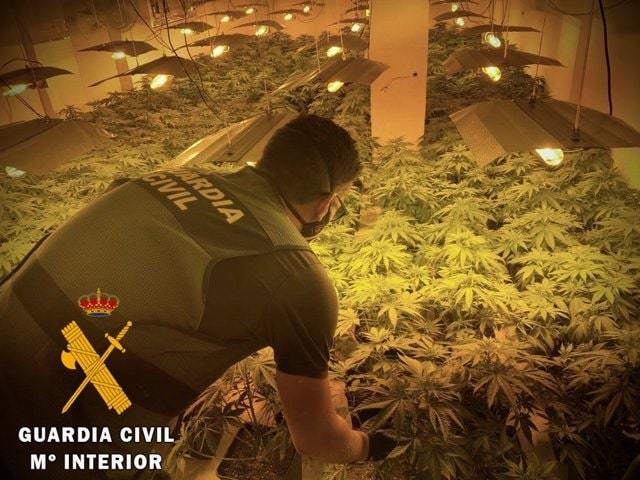 Detenido por cultivar marihuana en una casa alquilada de Roquetas de mar